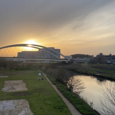 EO0jp7QAV336615's profile picture. 狼人