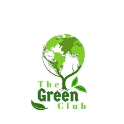 Stay Green (Innovative, Eco-Friendly & SDG Conscious)