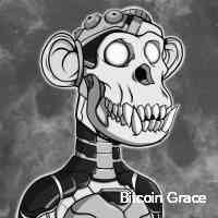 Bitcoin Grace (@bitoingrace) 's Twitter Profile