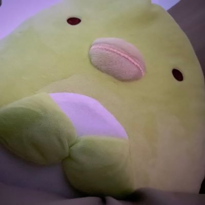 arayzkmaki's profile picture. 