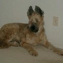 Mary Ellen Hackett - @melliemew - Twitter