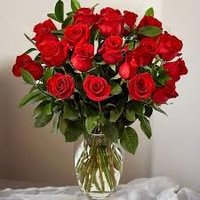 Ali shad (@alishadan7700) 's Twitter Profile Photo Ali shad (@alishadan7700) 's Twitter Profile Photo