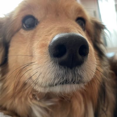 MartaMK23's profile picture. Это новый аккаунт. Старый украли.
