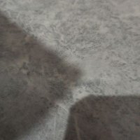 riky (@clipper_eu95741) 's Twitter Profile