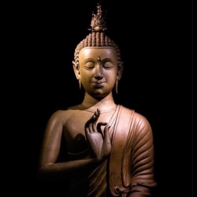 ifinspec's profile picture. 📈