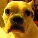 Michelle Akers Hall - @MAkersHall - Twitter