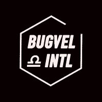 BUGVEL INTERNATIONAL(@BUGVEL_INTL) 's Twitter Profile Photo