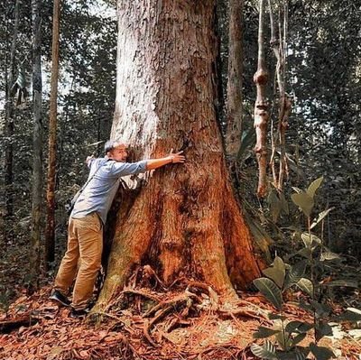 bapak-bapak pengabdi hutan sumut-atjeh & tukang rebus air di tungku sampai panas mendidih buat kopi tubruk gelas tebalek