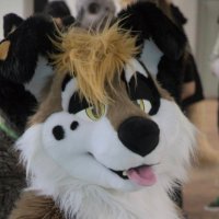 Andy Vancee (@andyvancee) 's Twitter Profile