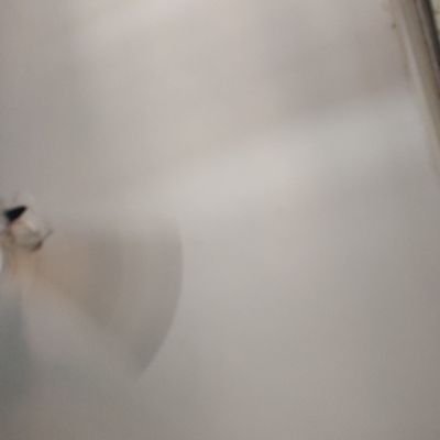 navinpal512002's profile picture. 