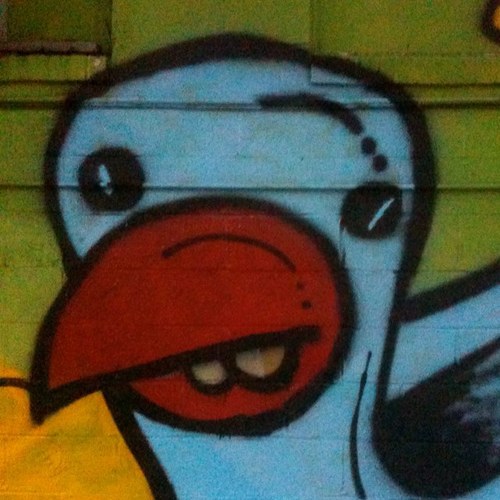 tcutaiar's profile picture. 