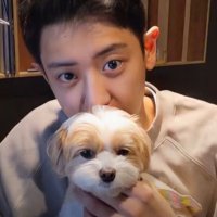 eli 𐦍⋆ (@wintersyeol) 's Twitter Profile Photo eli 𐦍⋆ (@wintersyeol) 's Twitter Profile Photo