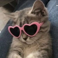 pucca 🍉 (@sadkuroi) 's Twitter Profile Photo pucca 🍉 (@sadkuroi) 's Twitter Profile Photo