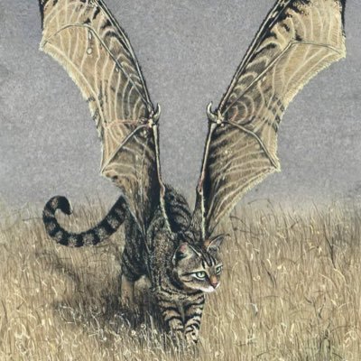 FalcataSferrum's profile picture. El sol renace de la piel de lobo