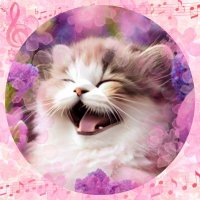 ねこ🐾コンテンツクリエイター (@100nekonyannyan) 's Twitter Profile Photo ねこ🐾コンテンツクリエイター (@100nekonyannyan) 's Twitter Profile Photo