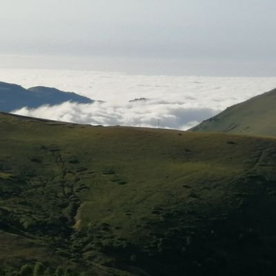 osmnckr_61's profile picture. ❤️💙 Trabzonlu ve Trabzonsporlu