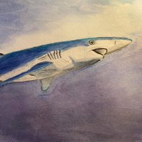 Pat Smith Database (@patsmithcharity) 's Twitter Profile Photo