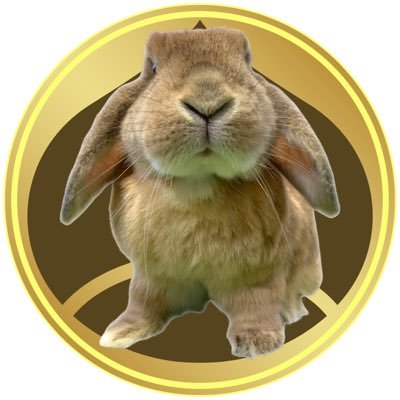 栗饅頭 2013.8.25 ・ロップイヤーラビット  Bunny'sEntertainment CEO &Bunny'sAngelsCEO