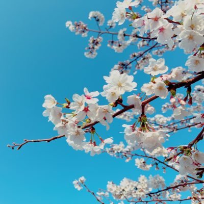 MIKA356's profile picture. 育児家族思ったことの記録や整理。言語化上手な方や素敵だな、応援したいと思う方無言フォロー失礼します。2人の息子たち。しがない特別支援教諭。音楽に心救われている日々。いるときといないときの差が大。返信速度まちまちですがコメント嬉しいです。鍵は開けたり閉めたり。