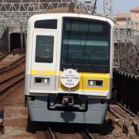 きよすく (@nekogawar) 's Twitter Profile