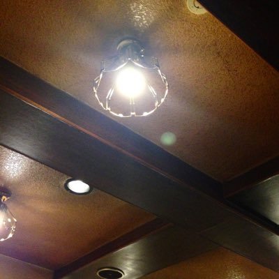 tokyo_elephants's profile picture. 