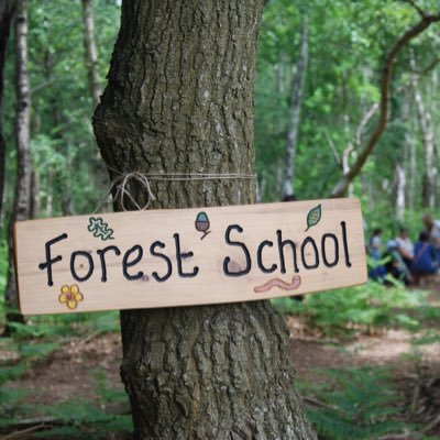 A page dedicated to all of the wonderful things we get up to at our Forest School! 🍃 🐛