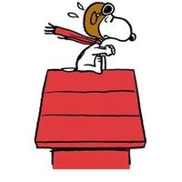 Alison Mayer (@alisonm39007593) 's Twitter Profile Photo