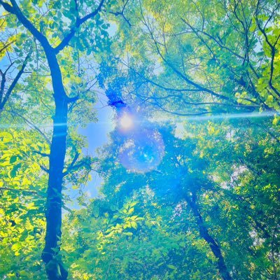 Snaa74296521's profile picture. 