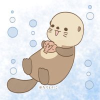 ほたてとらっこ(@hotatetorakko) 's Twitter Profile Photo