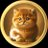 Baby Cat Coin avatar