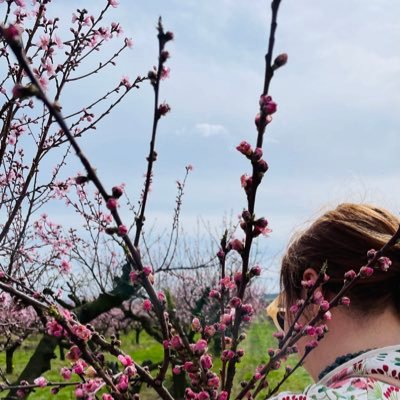 DomiBula's profile picture. She/Her My tweets are my own