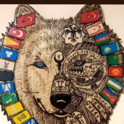 css8442's profile picture. Tek erkek