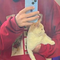 𝙉𝙞𝙡𝙢𝙖𝙝 (@nilmah79) 's Twitter Profile