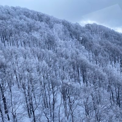 webデザイン勉強中🎨絵画教室で身につけたデザインセンスを活かし、新しいwebデザインを作るべく勉強しています!! 今は動画編集も勉強しています!