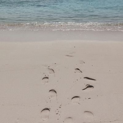 MihokoTaniguch2's profile picture. 