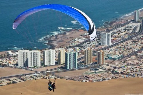 Una vez que hayas probado el vuelo caminaras sobre la Tierra con la mirada levantada hacia el cielo,por que ya has estado alli y quieres volver