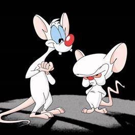 $SOL coin on Pumpfun today!
Pinky: “Gee Brain, what are we gonna do tonight?”
Brain: “The same thing we do every night, try to take over the Bonding Curve!”