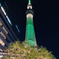 せぶん (@sevens777777777) 's Twitter Profile