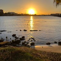 Ryan (@ryan_miller_17) 's Twitter Profile Photo