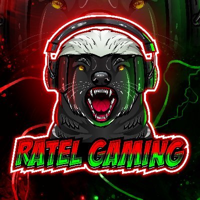 Born in SOUTHern AFRICA, living in the Middle East.

This honey badger is far from home, but at home GAMING.
Gaming, tech, politics or life. Lets chat!