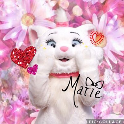Marie/Toulouse/Berlioz/The Aristocats/Minnie/ Mickey/グリーティング/ショーパレ/📸Canon/無断転載はご遠慮ください