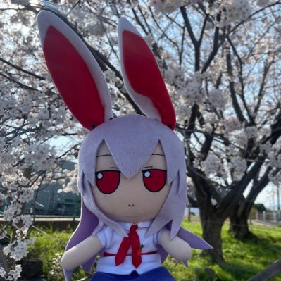 魂魄みやんげ(半身半霊)さんのプロフィール画像