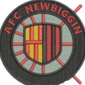 AFCNewbiggin Profile Picture