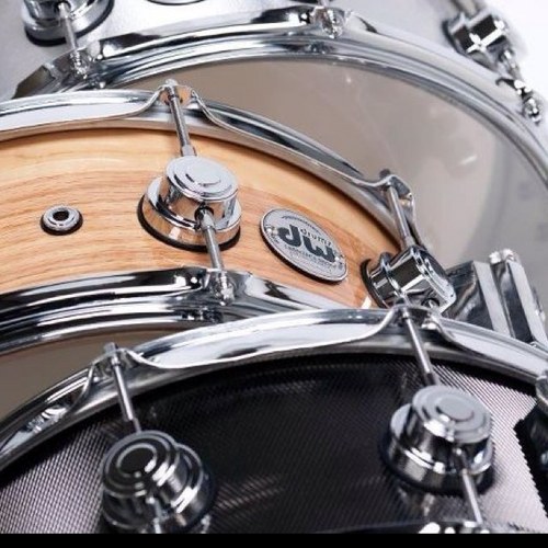 PercSociety's profile picture. 