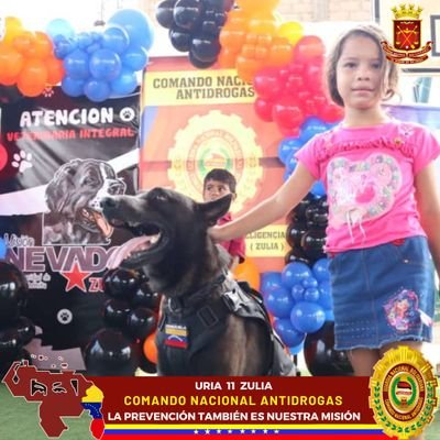 Auxiliar de la Unidad Regional de Inteligencia Antidrogas N° 11 Zulia 🇻🇪 ¡Somos garantes de la paz y el orden!