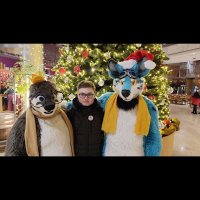 Jonas (@jonas_the_tiger) 's Twitter Profile
