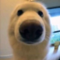 🌟 𝐕𝐀𝐕𝐀 ᕕ( ᐛ )ᕗ (@witpaimot) 's Twitter Profile