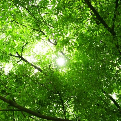 say_temple's profile picture. SCP-JPサイトメンバー23年組
主な著作: SCP-3330-JP,SCP-3433-JP