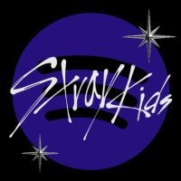 Stray Kids Spotify(@skzlist) 's Twitter Profile Photo