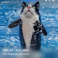 ORCAT - TAKEOVER (SOLANA) (@orcacatonsol) 's Twitter Profile